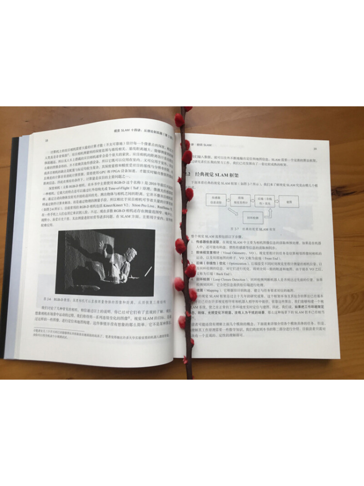 Book-Winshare Fourteen Lecture - Industrial Visual 评论和价格